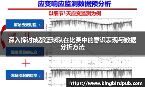 深入探讨成都篮球队在比赛中的意识表现与数据分析方法